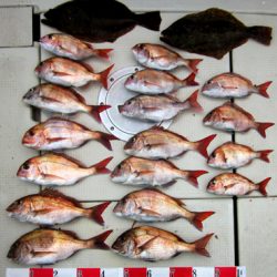 来温丸(らいおんまる) 釣果