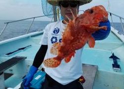 長栄丸(静岡) 釣果