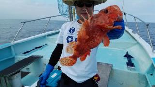 長栄丸(静岡) 釣果