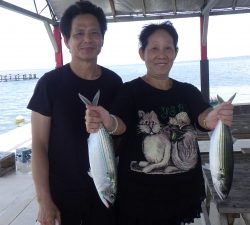 本部釣りイカダ 釣果