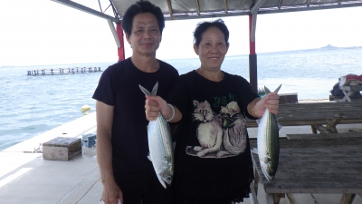 本部釣りイカダ 釣果