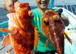 長栄丸(静岡) 釣果