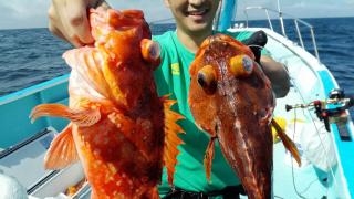 長栄丸(静岡) 釣果