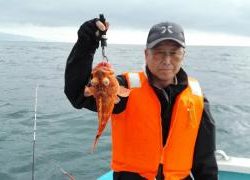 長栄丸(静岡) 釣果