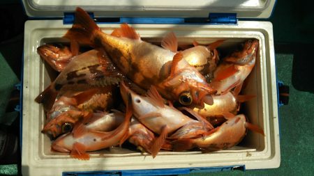 モンロー号 釣果