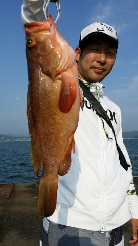 オーフリー 釣果