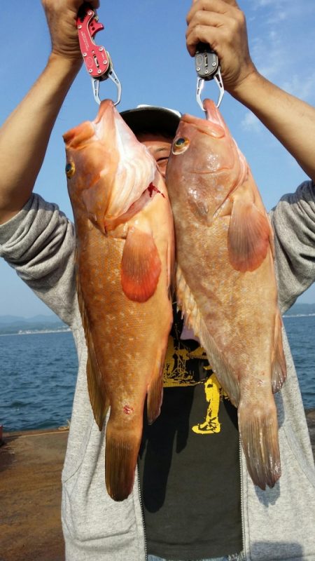 オーフリー 釣果