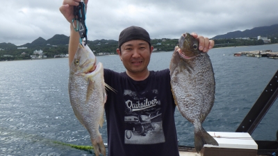 本部釣りイカダ 釣果