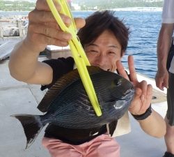 本部釣りイカダ 釣果