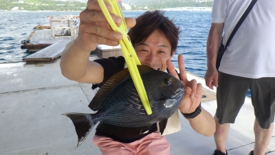 本部釣りイカダ 釣果