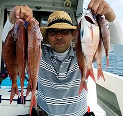 松本釣船２ 釣果