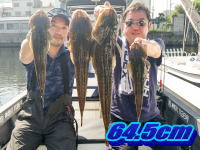 オーシャンマスター 釣果