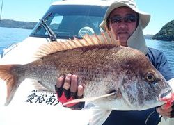 愛裕南丸 釣果