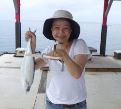 本部釣りイカダ 釣果