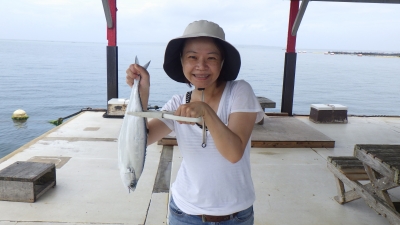 本部釣りイカダ 釣果