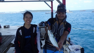 本部釣りイカダ 釣果