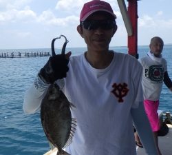 本部釣りイカダ 釣果