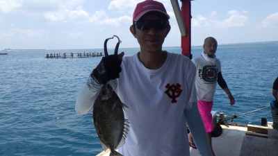 本部釣りイカダ 釣果