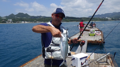 本部釣りイカダ 釣果