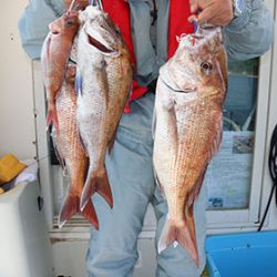 松本釣船２ 釣果