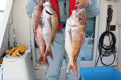 松本釣船２ 釣果