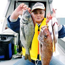 松本釣船２ 釣果