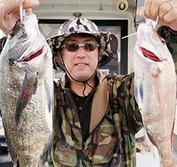 松本釣船２ 釣果