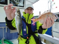 おおせき丸 釣果