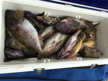 第八平成丸 釣果