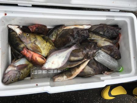 第八平成丸 釣果