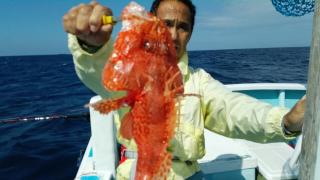 長栄丸(静岡) 釣果