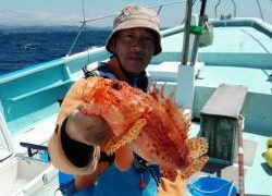 長栄丸(静岡) 釣果