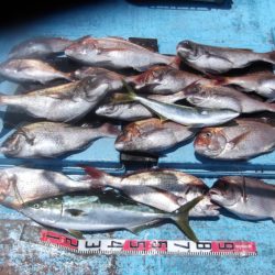 海宝丸 釣果