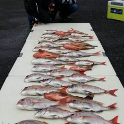 オーフリー 釣果