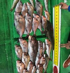 利弥丸（としやまる） 釣果