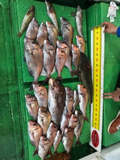 利弥丸（としやまる） 釣果