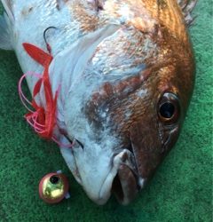 利弥丸（としやまる） 釣果