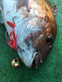 利弥丸（としやまる） 釣果