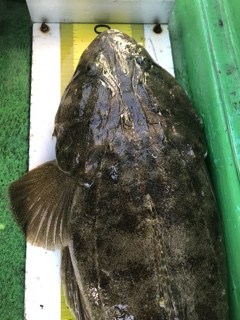 利弥丸（としやまる） 釣果