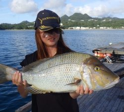 本部釣りイカダ 釣果 沖縄 その他餌釣り タマン 陸っぱり 釣り 魚釣り 釣果情報サイト カンパリ