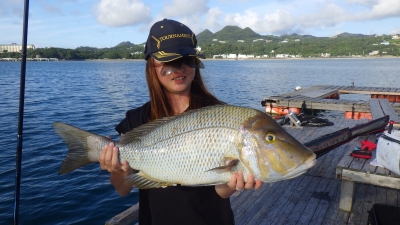 本部釣りイカダ 釣果