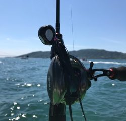 利弥丸（としやまる） 釣果