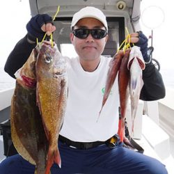 松本釣船２ 釣果