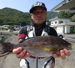 長伸丸 釣果