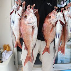 松本釣船２ 釣果