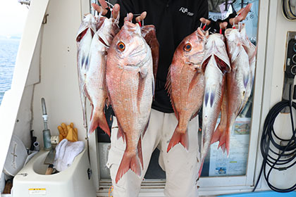 松本釣船２ 釣果