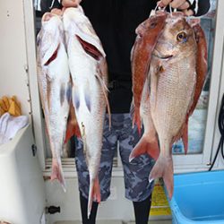 松本釣船２ 釣果