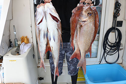 松本釣船２ 釣果