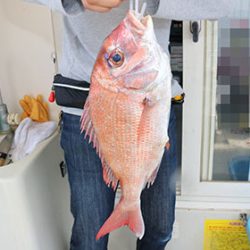 松本釣船２ 釣果