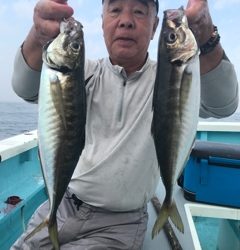 吉明丸 釣果